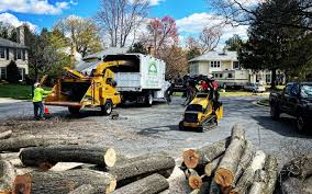 Leaf Removal Services in Terrace Heights, WA