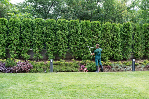 Lawn Watering Services in Terrace Heights, WA